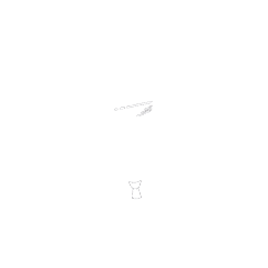 International Academic Programs